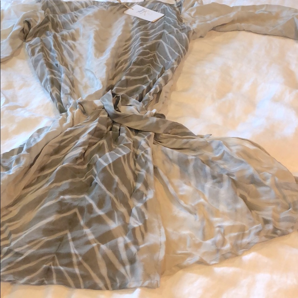 Sheer zebra silk dress